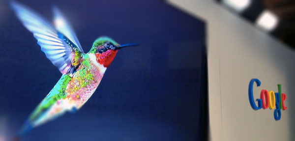 google-hummingbird